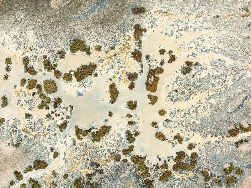 Marshland at low tide. Nature Reserve La Breña y Marismas del Barbate. Aerial view. Drone shot. Cádiz province, Andalusia, Spain