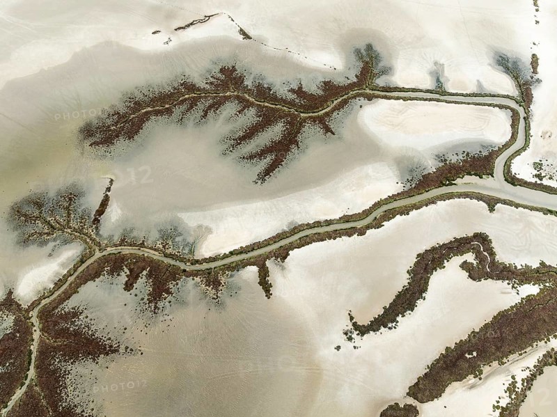 Abstract patterns at low tide in the marshland of the Nature Reserve La Breña y Marismas del Barbate. Aerial view. Drone shot. Cádiz province, Andalusia, Spain