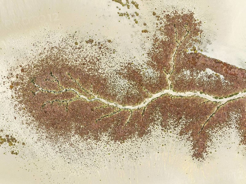 Abstract patterns at low tide in the marshland of the Nature Reserve La Breña y Marismas del Barbate. Aerial view. Drone shot. Cádiz province, Andalusia, Spain