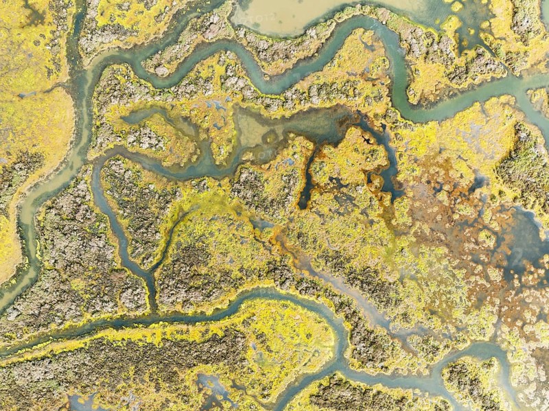 Marshland at low tide. Nature Reserve La Breña y Marismas del Barbate. Aerial view. Drone shot. Cádiz province, Andalusia, Spain