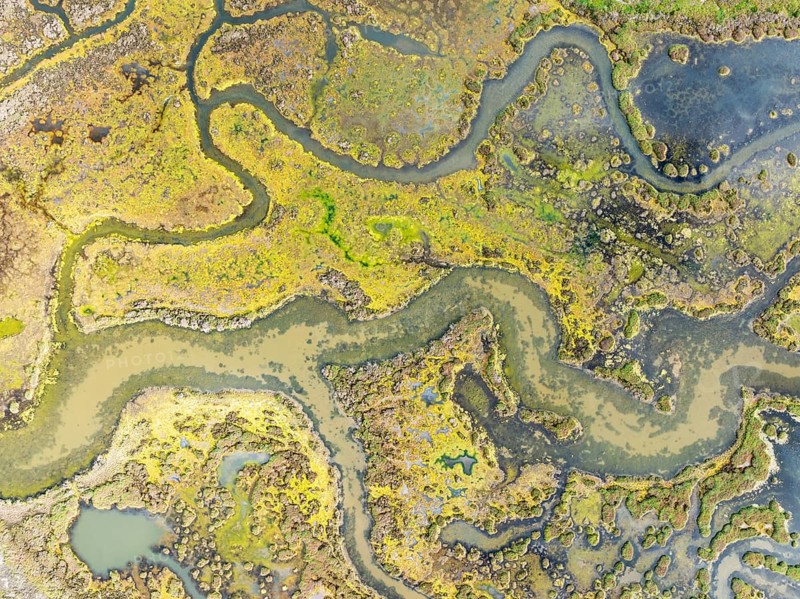 Marshland at low tide. Nature Reserve La Breña y Marismas del Barbate. Aerial view. Drone shot. Cádiz province, Andalusia, Spain