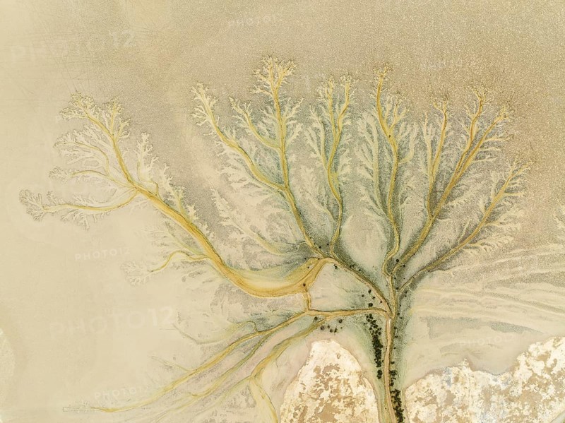 Abstract patterns at low tide in the marshland of the Nature Reserve La Breña y Marismas del Barbate. Aerial view. Drone shot. Cádiz province, Andalusia, Spain