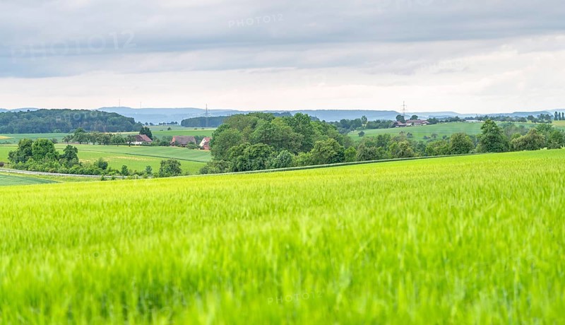 Idyllic rural scenery in Hohenlohe, a area in Southern Germany