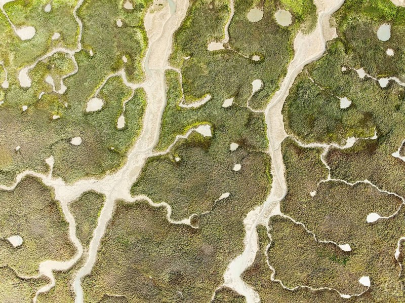 Abstract patterns of dry streams at low tide. In the marshland of the Bahía de Cádiz Nature Reserve. Aerial view. Drone shot. Cádiz province, Andalusia, Spain