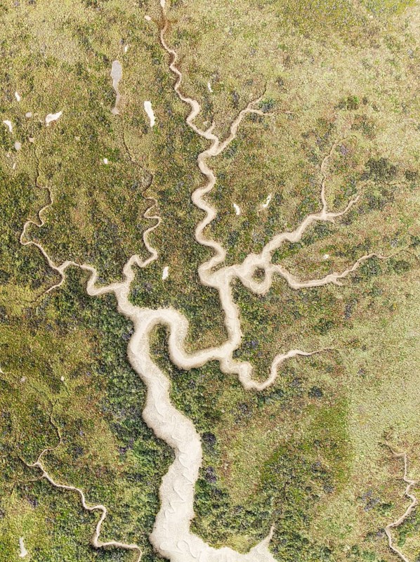 Abstract patterns of dry streams at low tide. In the marshland of the Bahía de Cádiz Nature Reserve. Aerial view. Drone shot. Cádiz province, Andalusia, Spain