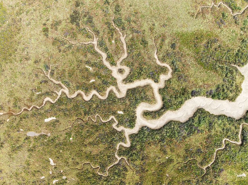 Abstract patterns of dry streams at low tide. In the marshland of the Bahía de Cádiz Nature Reserve. Aerial view. Drone shot. Cádiz province, Andalusia, Spain