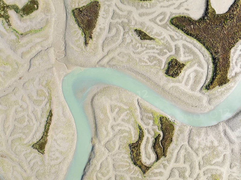 Network of channels and streams at low tide. In the marshland of the Bahía de Cádiz Nature Reserve. Aerial view. Drone shot. Cádiz province, Andalusia, Spain
