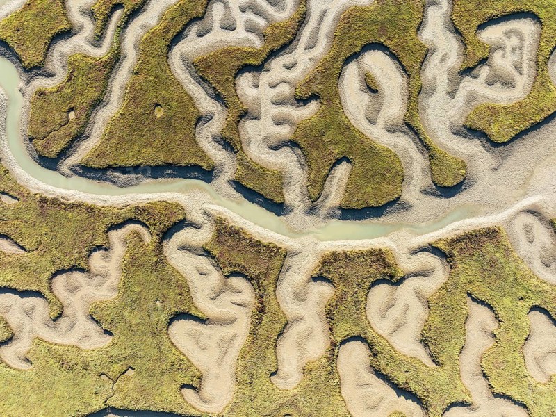 Network of channels and streams at low tide. In the marshland of the Bahía de Cádiz Nature Reserve. Aerial view. Drone shot. Cádiz province, Andalusia, Spain