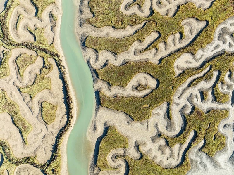 Network of channels and streams at low tide. In the marshland of the Bahía de Cádiz Nature Reserve. Aerial view. Drone shot. Cádiz province, Andalusia, Spain