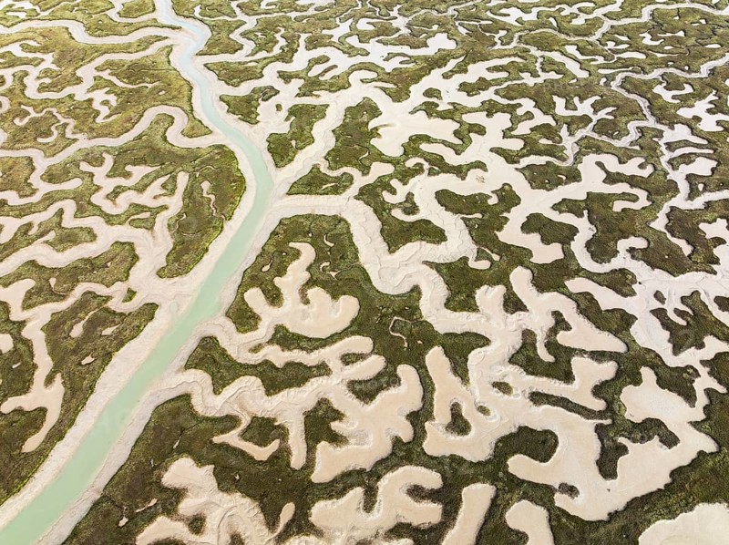 Network of channels and streams at low tide. In the marshland of the Bahía de Cádiz Nature Reserve. Aerial view. Drone shot. Cádiz province, Andalusia, Spain