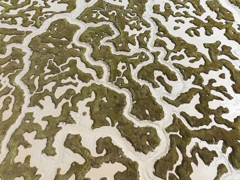 Network of dry channels and streams at low tide. In the marshland of the Bahía de Cádiz Nature Reserve. Aerial view. Drone shot. Cádiz province, Andalusia, Spain
