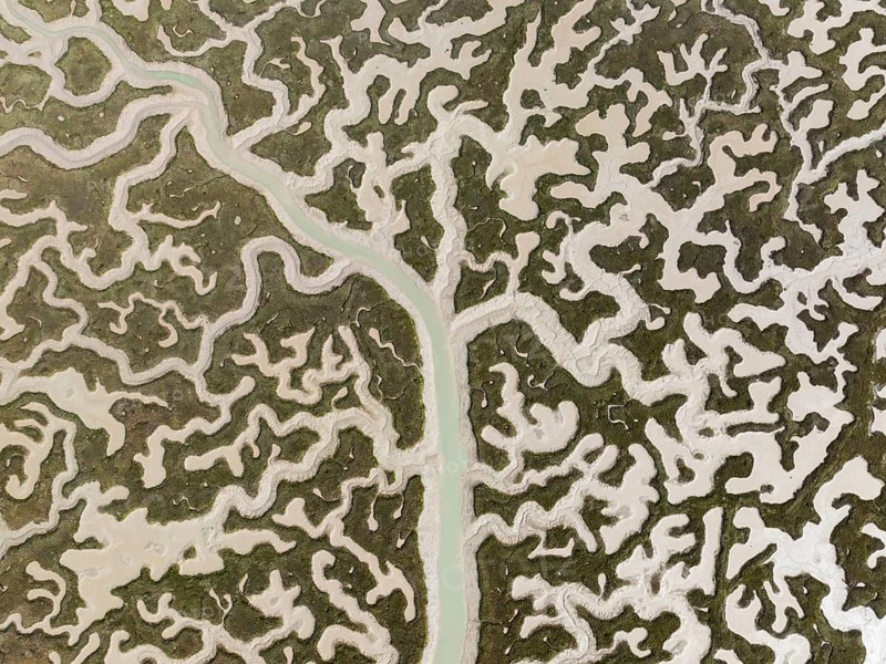 Network of channels and streams at low tide. In the marshland of the Bahía de Cádiz Nature Reserve. Aerial view. Drone shot. Cádiz province, Andalusia, Spain