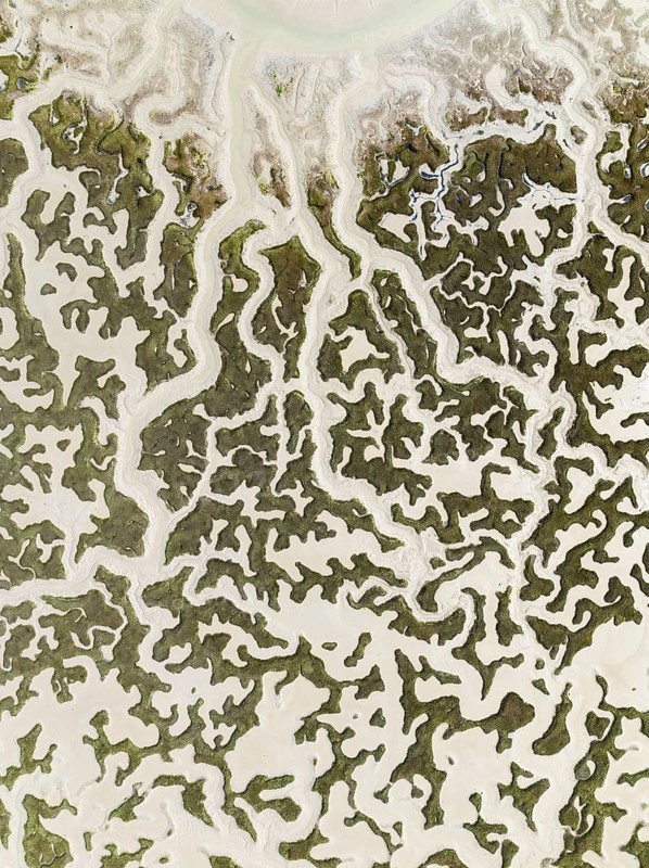 Network of dry channels and streams at low tide. In the marshland of the Bahía de Cádiz Nature Reserve. Aerial view. Drone shot. Cádiz province, Andalusia, Spain