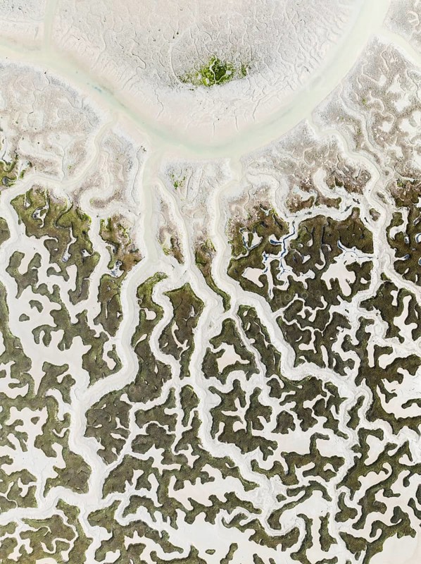 Network of dry channels and streams at low tide. In the marshland of the Bahía de Cádiz Nature Reserve. Aerial view. Drone shot. Cádiz province, Andalusia, Spain