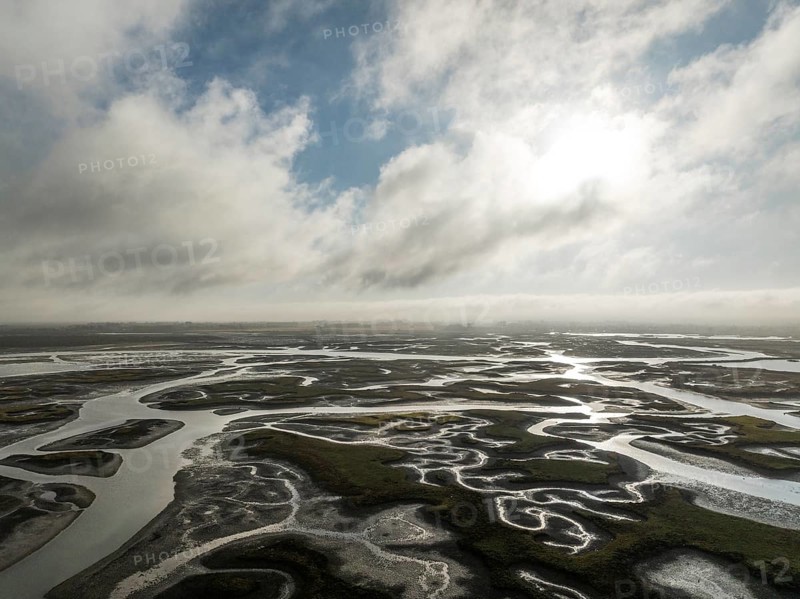 Network of channels and streams at low tide. In the marshland of the Bahía de Cádiz Nature Reserve. Aerial view. Drone shot. Cádiz province, Andalusia, Spain