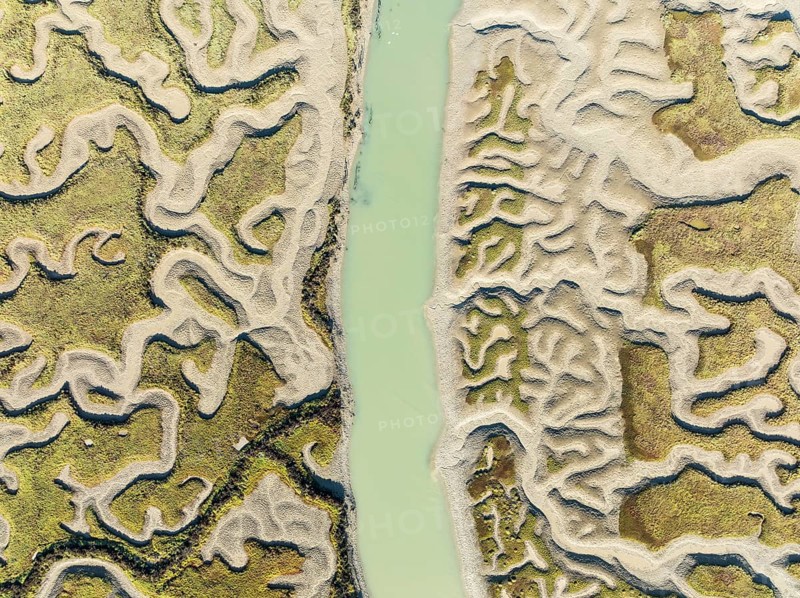 Network of channels and streams at low tide. In the marshland of the Bahía de Cádiz Nature Reserve. Aerial view. Drone shot. Cádiz province, Andalusia, Spain