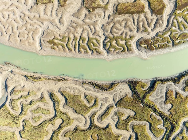 Network of channels and streams at low tide. In the marshland of the Bahía de Cádiz Nature Reserve. Aerial view. Drone shot. Cádiz province, Andalusia, Spain