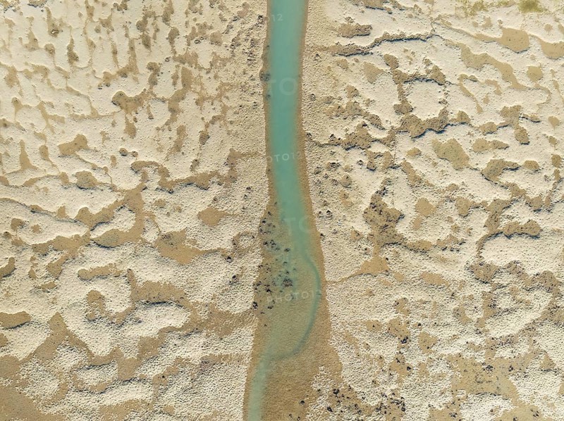 Network of channels and streams at low tide. In the marshland of the Bahía de Cádiz Nature Reserve. Aerial view. Drone shot. Cádiz province, Andalusia, Spain
