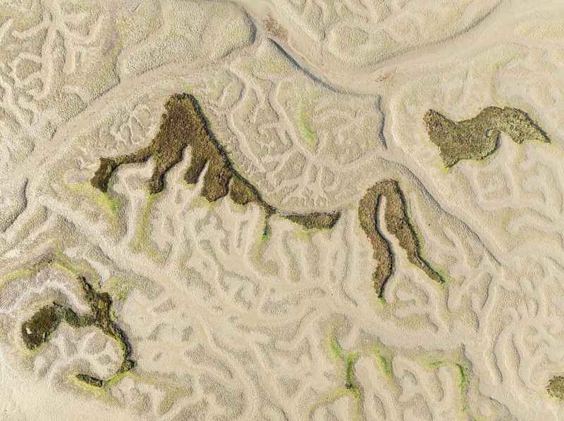 Network of dry channels and streams at low tide. In the marshland of the Bahía de Cádiz Nature Reserve. Aerial view. Drone shot. Cádiz province, Andalusia, Spain
