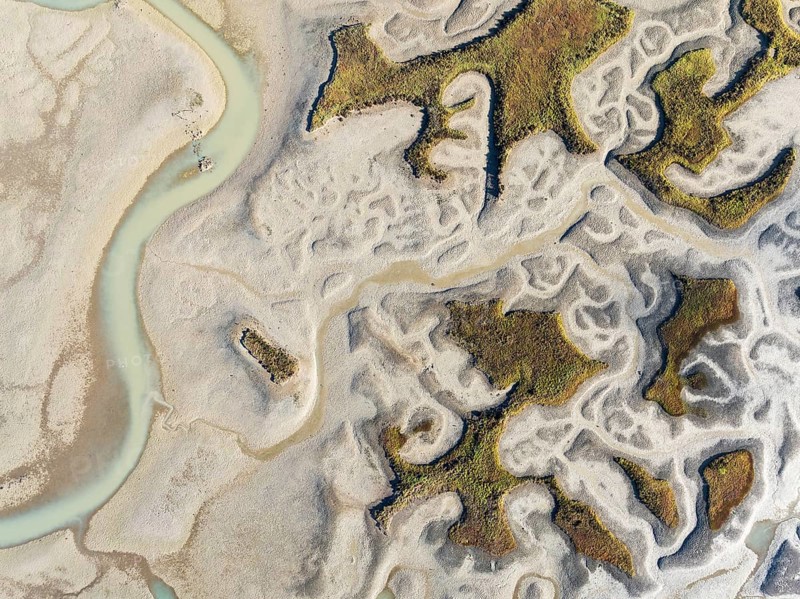 Network of channels and streams at low tide. In the marshland of the Bahía de Cádiz Nature Reserve. Aerial view. Drone shot. Cádiz province, Andalusia, Spain