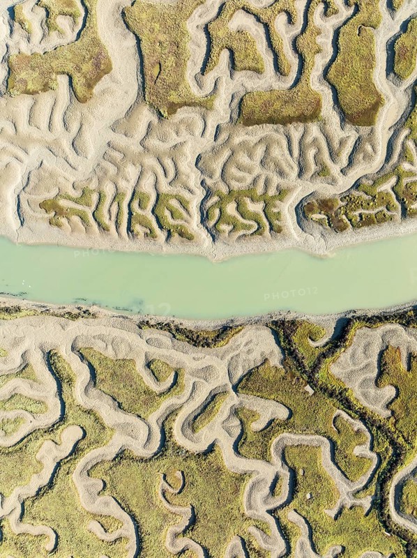 Network of channels and streams at low tide. In the marshland of the Bahía de Cádiz Nature Reserve. Aerial view. Drone shot. Cádiz province, Andalusia, Spain