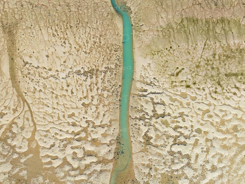 Network of channels and streams at low tide. In the marshland of the Bahía de Cádiz Nature Reserve. Aerial view. Drone shot. Cádiz province, Andalusia, Spain
