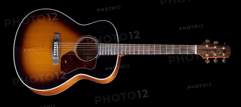 Acoustic Guitar in black back