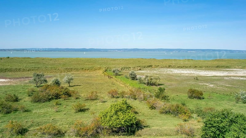 Sunny impression around Podersdorf am See at Lake Neusiedl in Burgenland in Austria
