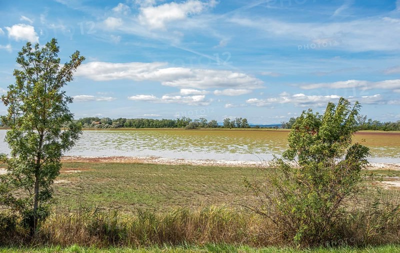 Lake named Oberer Stinkersee located near Podersdorf am See at the Burgenland state in Austria