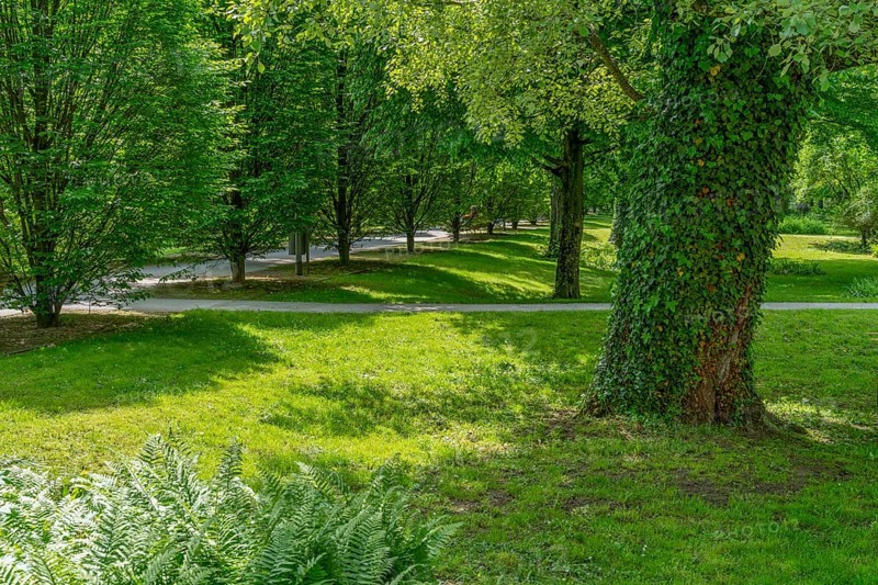 Spring time scenery around a park in Öhringen, a town in the Hohenlohe district in Southern Germany