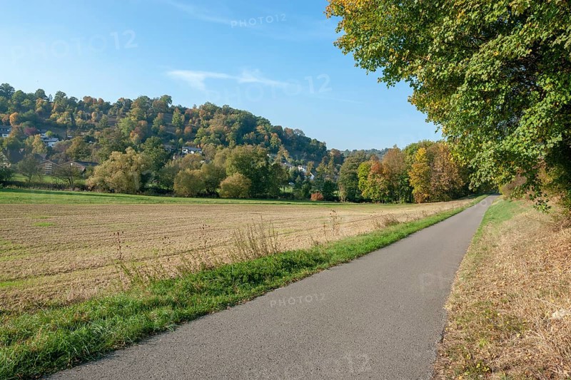 Idyllic rural cycle path in Hohenlohe at autumn time