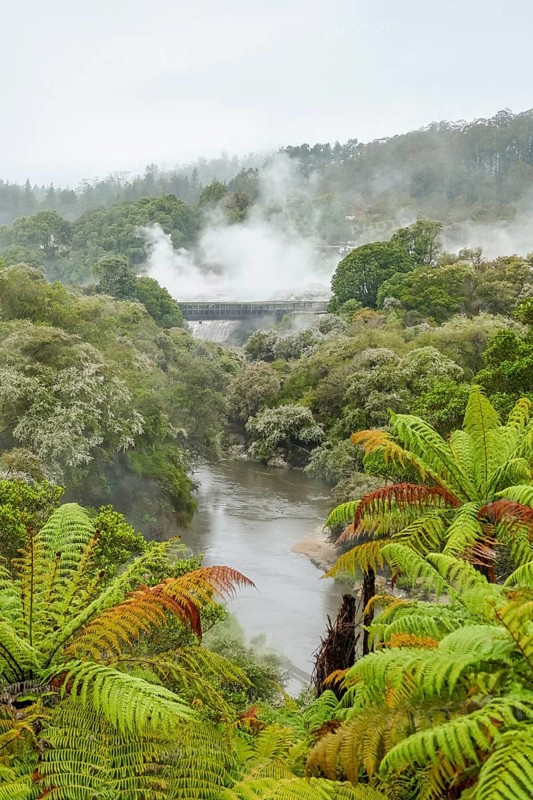 Scenery around the Geothermal Valley Te Puia in New Zealand