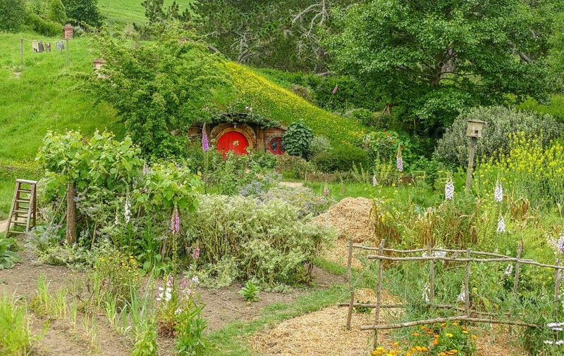 Idyllic scenery at The Shire represented by a region near Matama at the North Island of New Zealand