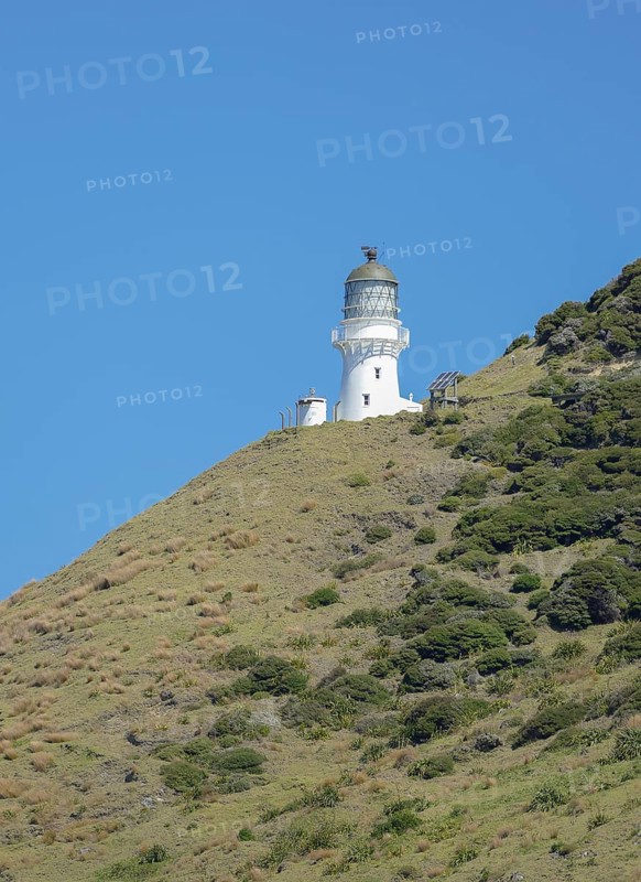 Sunny scenery including a lighthouse at the Bay of Islands, an area on the east coast of the Far North District of the North Island of New Zealand