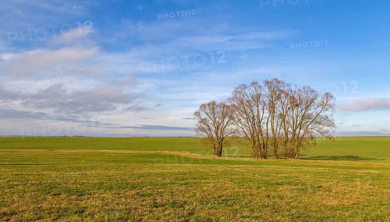 Idyllic rural scenery with meadow and trees in Hohenlohe, an area in Southern Germany at winter time