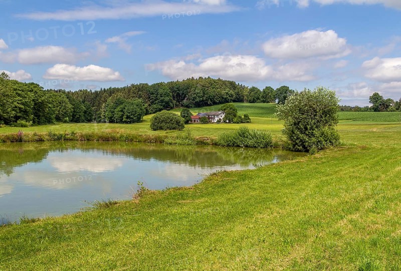 Small lake around Wiesenfelden in the Bavarian Forest in southern Germany at summer time