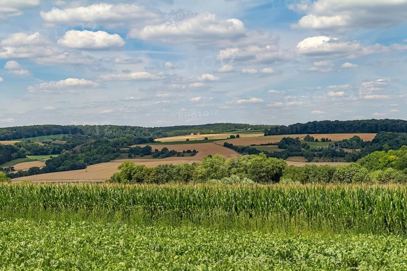 Idyllic rural scenery around the Jagst Valley in Hohenlohe, a district in Southern Germany at summer time
