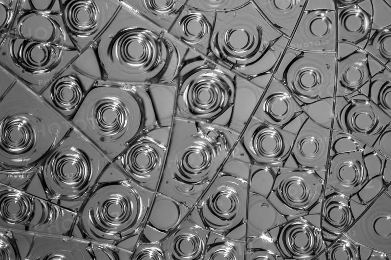 Microscopic detail of some dried egg white in grey back