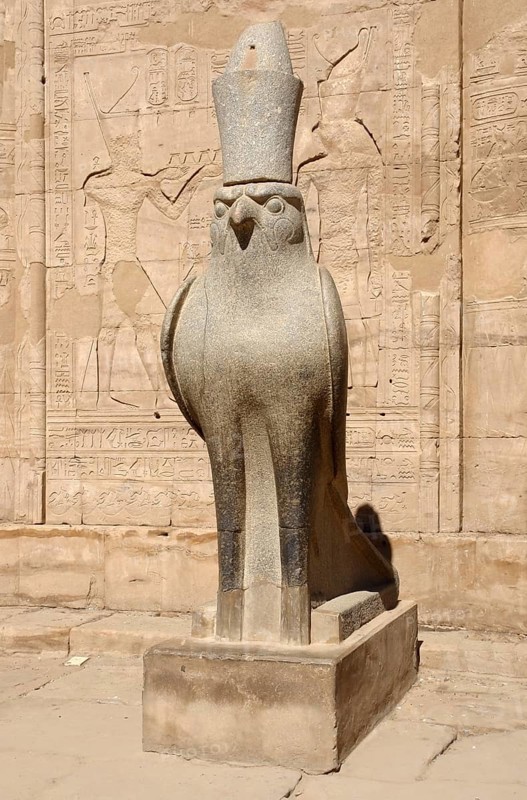 Sunny illuminated scenery including a statue of Horus at the ancient Temple of Edfu in Egypt (Africa)