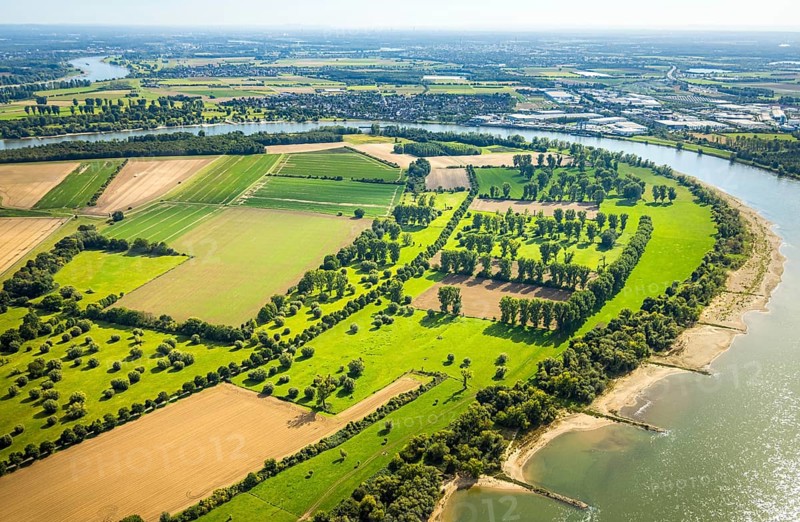 Aerial view, nature reserve Himmelgeister Rheinbogen, meadows and fields and green trees, Himmelgeist, Düsseldorf, Ruhr area, North Rhine-Westphalia, Germany, DE, Europe, LSG landscape conservation area, landscape conservation area, aerial photograph, aerial photography, aerial photography, overview, bird's-eye view, birds-eyes view, overview
