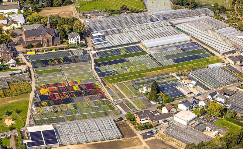 Aerial view, colourful flowers in the horticultural farm In der Hött, shapes and colours, St. Boniface Catholic Church, Flehe, Düsseldorf, Ruhr area, North Rhine-Westphalia, Germany, place of worship, DE, Europe, plants, religious community, place of worship, holy place, church, parish, denomination, aerial view, aerial photography, aerial photography, plants, religion, religious site, overview, bird's-eye view, birds-eyes view, graphic shapes, overview