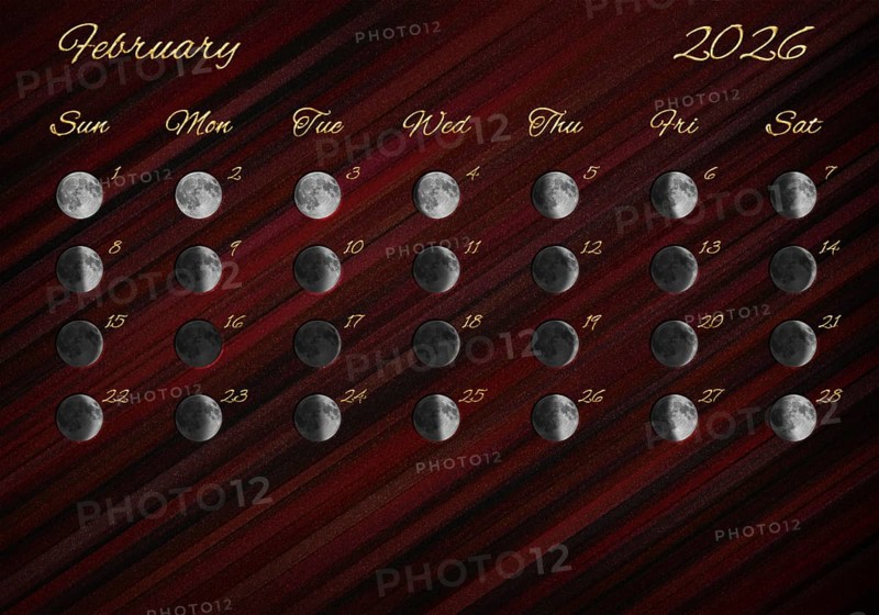 Moon Phases Calendar, February 2026 Red