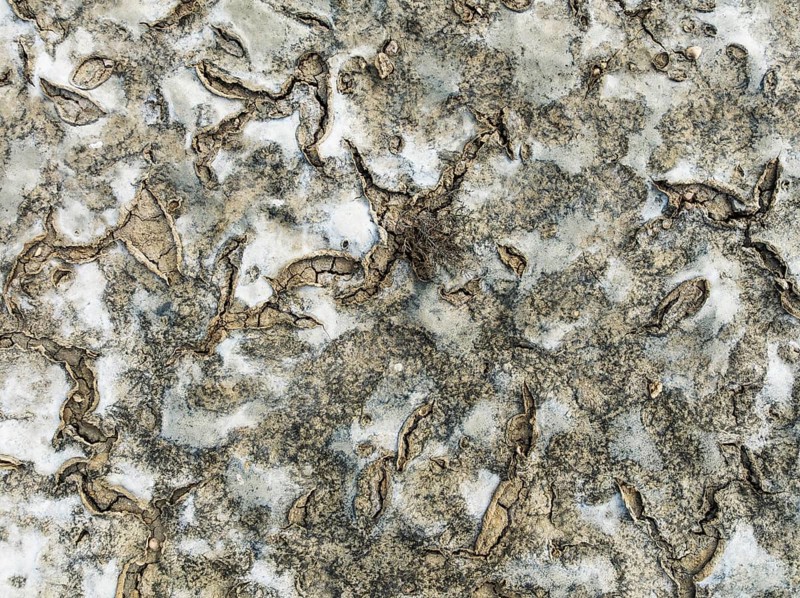 Dried mud in the marshland of the Bahía de Cádiz Nature Reserve. Aerial view. Drone shot. Cádiz province, Andalusia, Spain