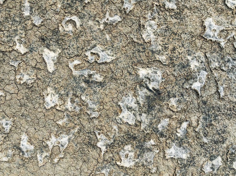 Dried mud in the marshland of the Bahía de Cádiz Nature Reserve. Aerial view. Drone shot. Cádiz province, Andalusia, Spain