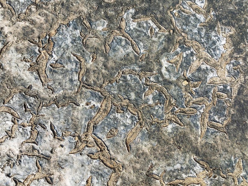 Dried mud in the marshland of the Bahía de Cádiz Nature Reserve. Aerial view. Drone shot. Cádiz province, Andalusia, Spain