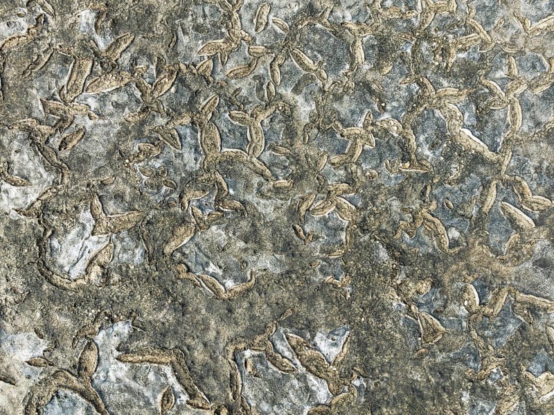 Dried mud in the marshland of the Bahía de Cádiz Nature Reserve. Aerial view. Drone shot. Cádiz province, Andalusia, Spain