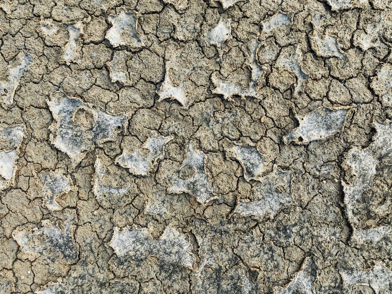 Dried mud in the marshland of the Bahía de Cádiz Nature Reserve. Aerial view. Drone shot. Cádiz province, Andalusia, Spain