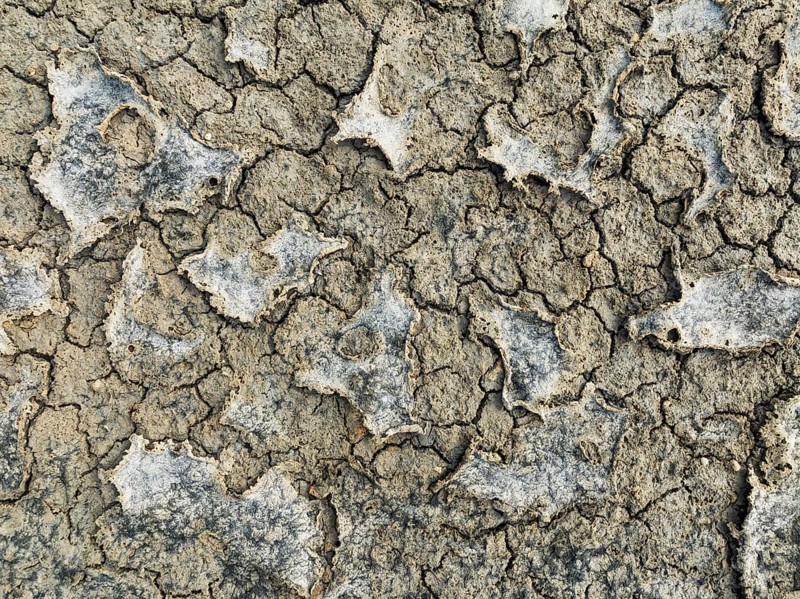 Dried mud in the marshland of the Bahía de Cádiz Nature Reserve. Aerial view. Drone shot. Cádiz province, Andalusia, Spain