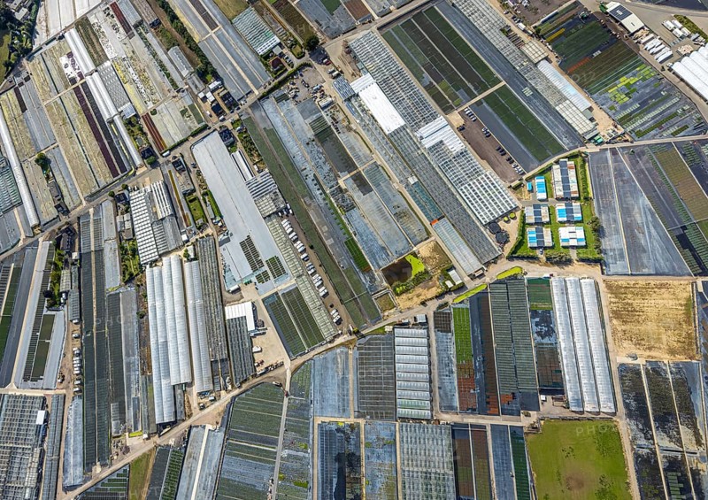 Aerial view, horticultural farms and agricultural use in the district of Volmerswerth, shapes and colours with graphical representation, Volmerswerth, Düsseldorf, Ruhr area, North Rhine-Westphalia, Germany, DE, Europe, aerial view, aerial photography, aerial photography, overview, bird's-eye view, overview
