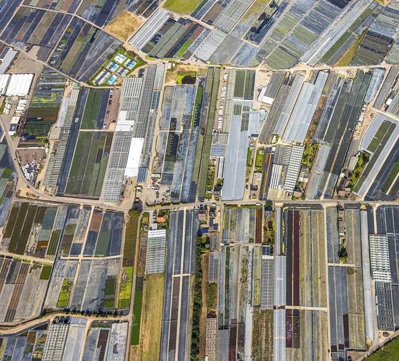 Aerial view, horticultural farms and agricultural use in the district of Volmerswerth, shapes and colours with graphical representation, Volmerswerth, Düsseldorf, Ruhr area, North Rhine-Westphalia, Germany, DE, Europe, aerial view, aerial photography, aerial photography, overview, bird's-eye view, overview